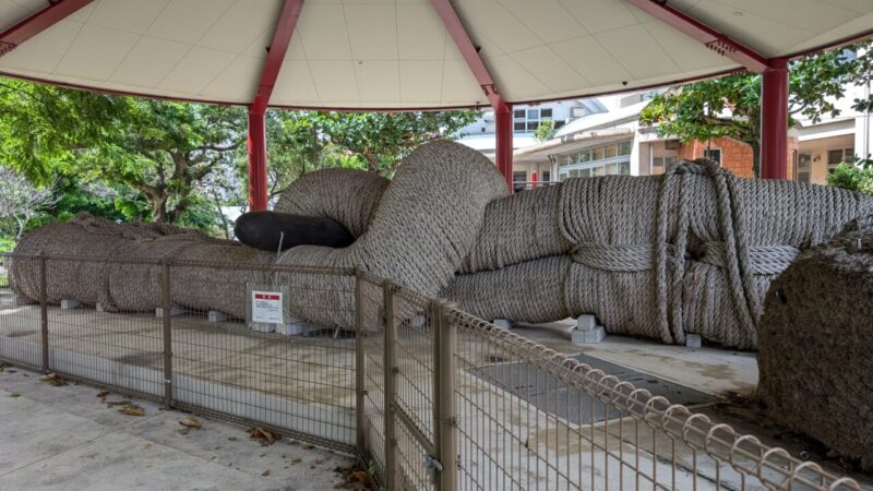 ハイアットリージェンシー那覇沖縄、周辺、希望ヶ丘公園、大綱